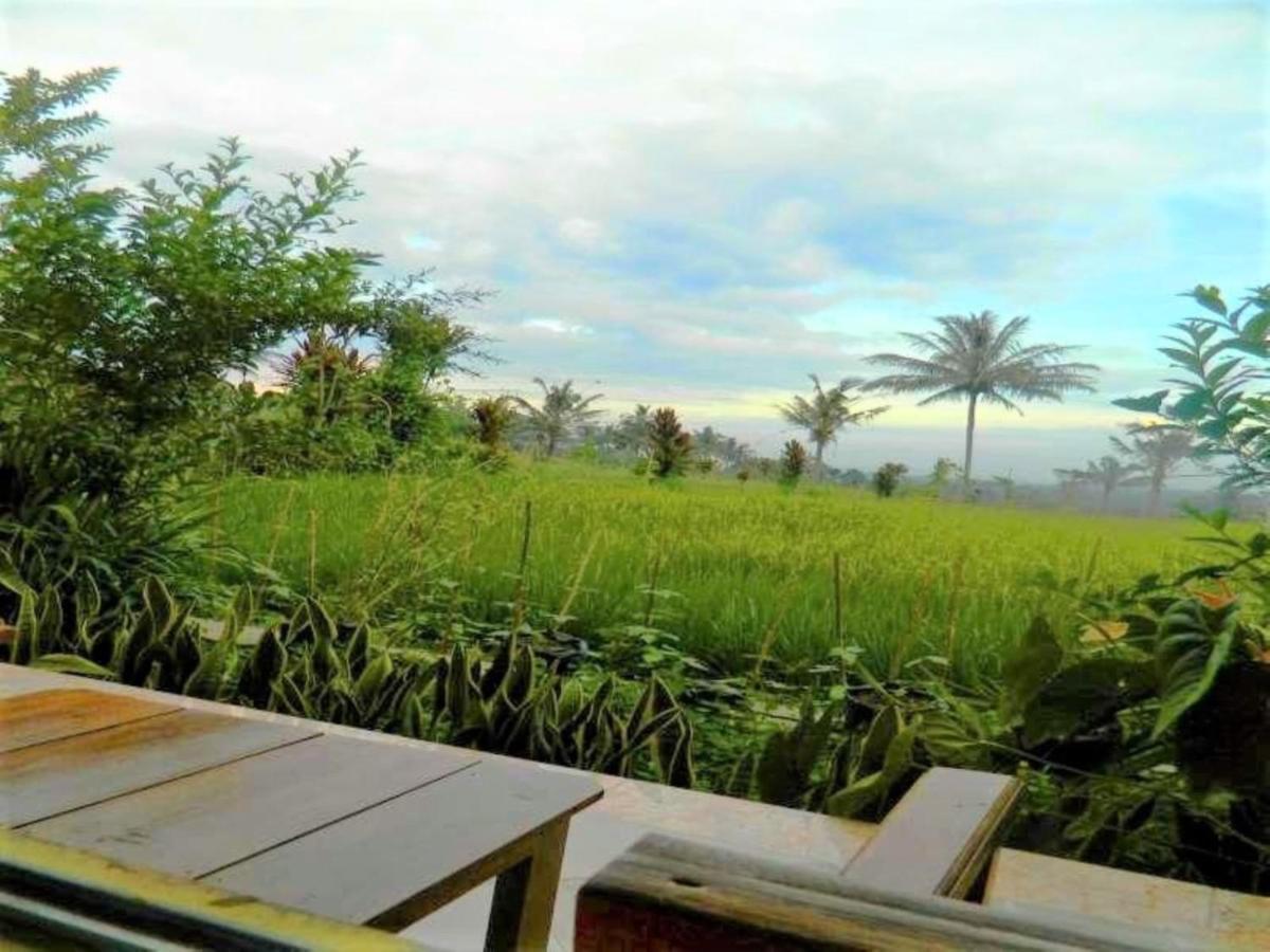 Fida Ijen Crater Guesthouse Licin Extérieur photo